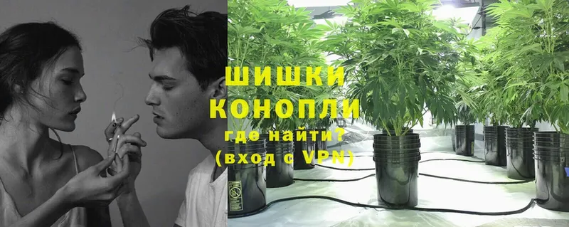 купить наркоту  shop как зайти  Канабис Ganja  Жуковский 